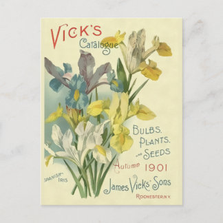  catalogus Plant en zaaigoed van 1901 Briefkaart