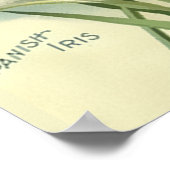  catalogus Plant en zaaigoed van 1901 Poster (Hoek)