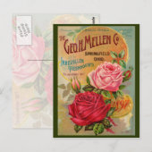 Catalogus roos briefkaart (Voorkant / Achterkant)