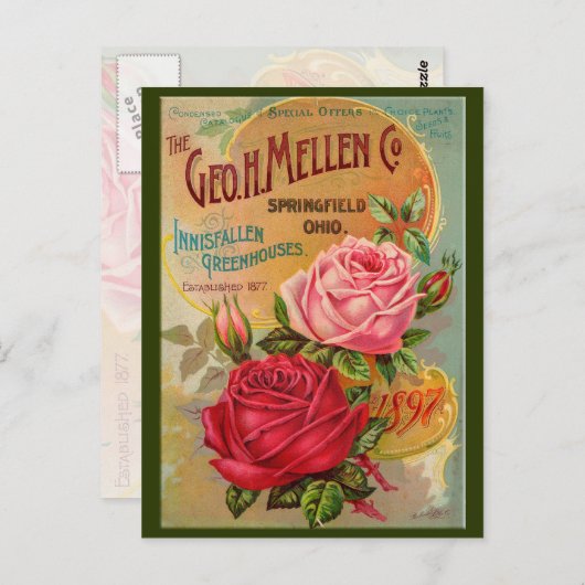 Catalogus roos briefkaart (Voorkant / Achterkant)