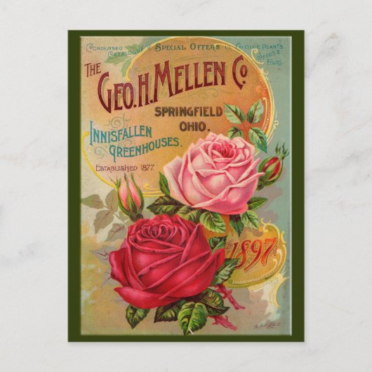 Catalogus roos briefkaart (Voorkant)