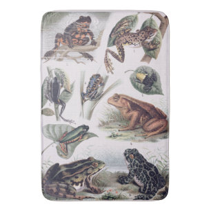  catalogus van Frogs Science Geek Badmat