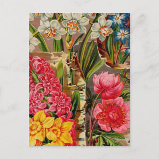  cataloguskaarten voor zaaizaad, postage, cadeaus briefkaart