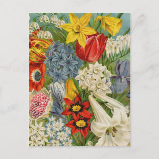  cataloguskaarten voor zaaizaad, postage, cadeaus briefkaart