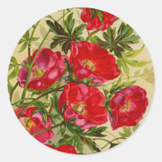  cataloguskaarten voor zaaizaad, postage, cadeaus ronde sticker