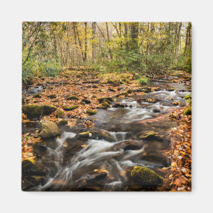 Cataloochee Creek NC Great Smoky Mountains Magneet