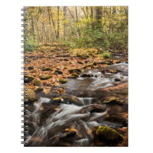 Cataloochee Creek NC Great Smoky Mountains Notitieboek