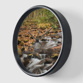 Cataloochee Creek NC: Grote rokergebergte (Hoek)