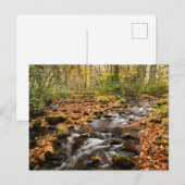 Cataloochee Creek NC: Grote rokergebergte Briefkaart (Voorkant / Achterkant)