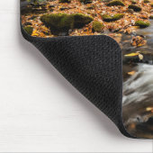 Cataloochee Creek NC: Grote rokergebergte Muismat (Hoek)