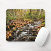 Cataloochee Creek NC: Grote rokergebergte Muismat (Met muis)