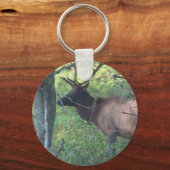 Cataloochee Elk Sleutelhanger (Voorkant)