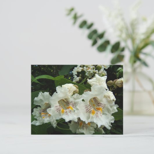 Catalpa blooms ~ briefkaart (Staand voorkant)