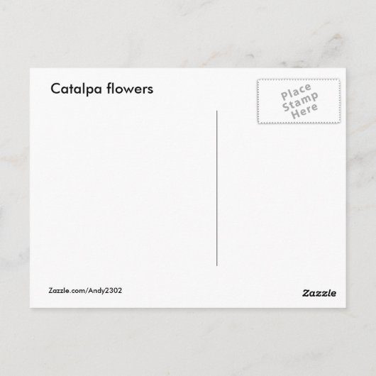 Catalpa blooms ~ briefkaart (Achterkant)