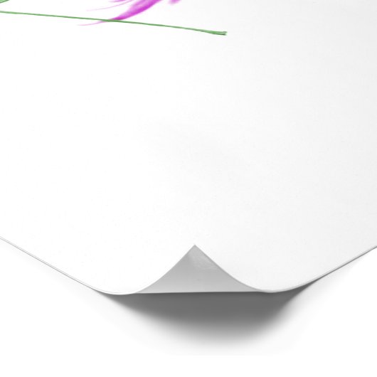 Catalpa-boomvlieg met bladeren poster (Hoek)