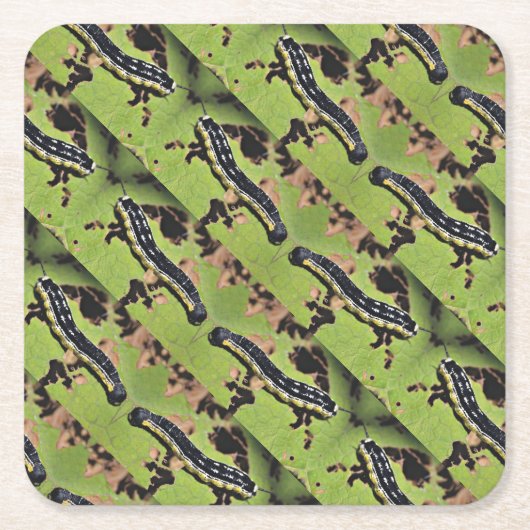 Catalpa Worms Camo Catfish Vist Kartonnen Onderzetters (Voorkant)