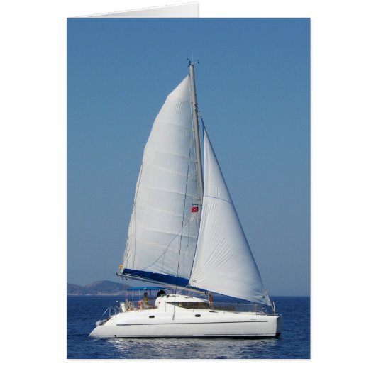 Catamaran Catchup (Voorkant)