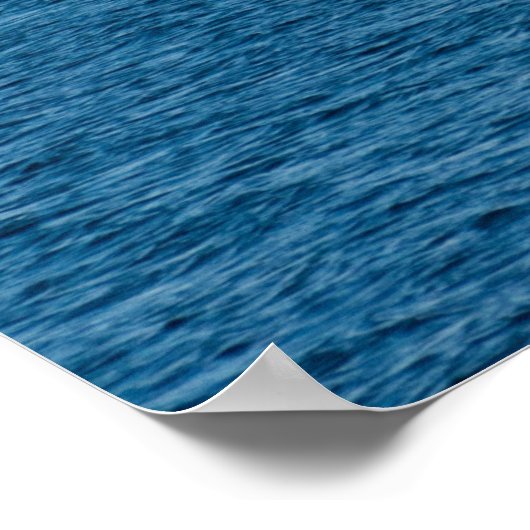 Catamaran Poster (Hoek)