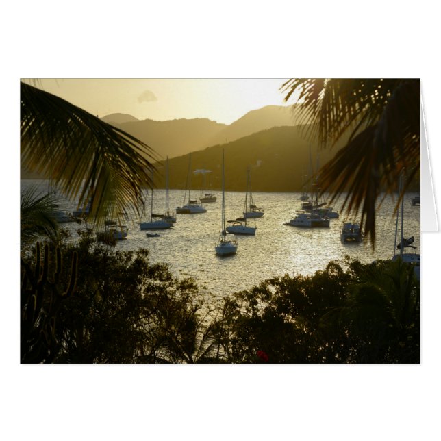 Catamaranen en zeilboten (Voorkant Horizontaal)