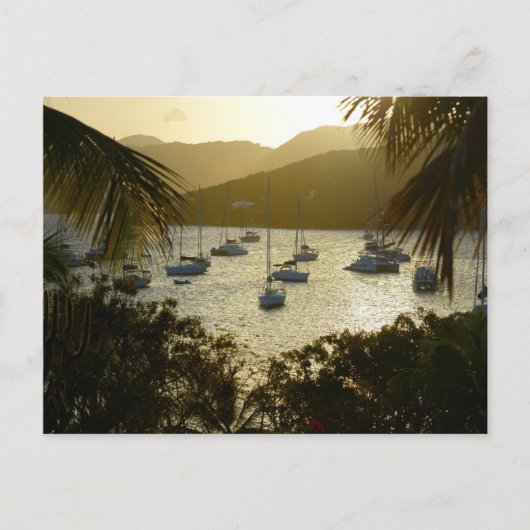 Catamarans en zeilboten briefkaart (Voorkant)