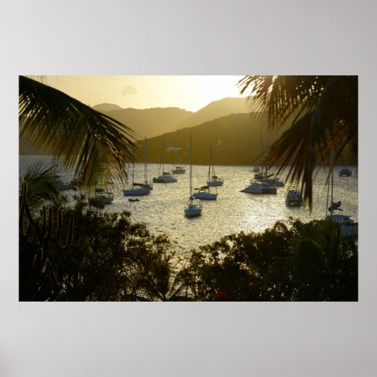 Catamarans en zeilboten poster (Voorkant)