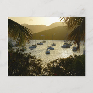 Catamarans & Sailboats Briefkaart