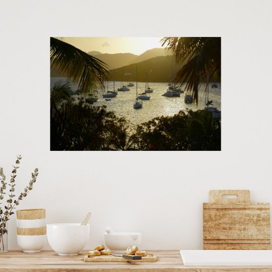 Catamarans & Sailboats Poster (Keuken)