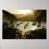 Catamarans & Sailboats Poster (Voorkant)