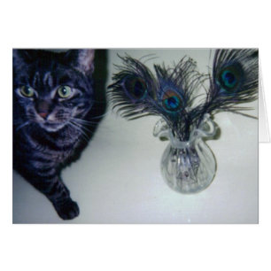 catandpeace-veren 001