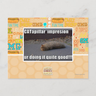 CATapillar Briefkaart