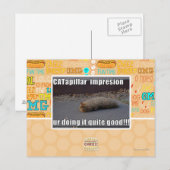 CATapillar Briefkaart (Voorkant / Achterkant)