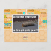 CATapillar Briefkaart (Voorkant)