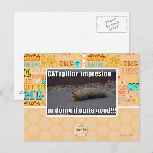 CATapillar Briefkaart (Voorkant / Achterkant)