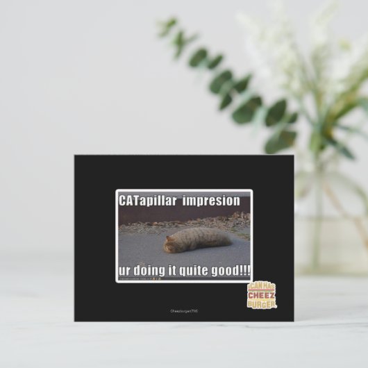 CATapillar Briefkaart (Staand voorkant)