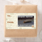 CATapillar Etiket (Insitu)
