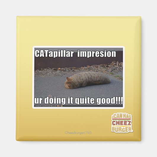 CATapillar Magneet (Voorkant)
