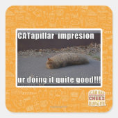 CATapillar Vierkante Sticker (Voorkant)