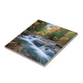 Cataract Falls in de VS Tegeltje (Zijkant)