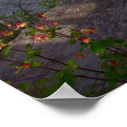 Cataract Herfsten, Bovenste Herfsten, Indiana Poster (Hoek)