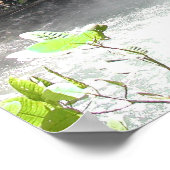 Catarata-Herfsten nabij Fortuna, Costa Rica Poster (Hoek)