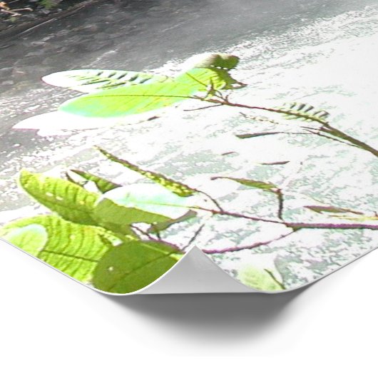 Catarata-Herfsten nabij Fortuna, Costa Rica Poster (Hoek)