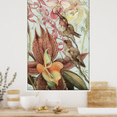Catasetum en Cypridediums 1912 Poster (Keuken)