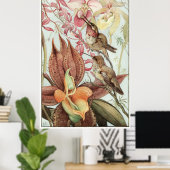 Catasetum en Cypridediums 1912 Poster (Thuiskantoor)