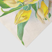 Catasetum Macrocaprum (Orchid) van Jean Linden Tissuepapier (Detail)