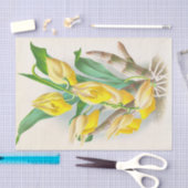 Catasetum Macrocaprum (Orchid) van Jean Linden Tissuepapier (Craft)