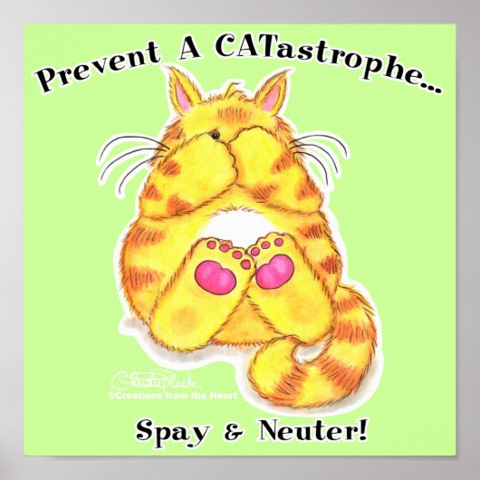 CATastrophe Poster (Voorkant)