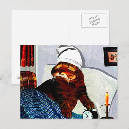 CATaTUDEs Briefkaart (Voorkant / Achterkant)