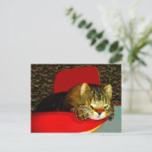 CATaTUDEs Briefkaart (Staand voorkant)