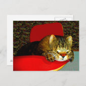 CATaTUDEs Briefkaart (Voorkant / Achterkant)