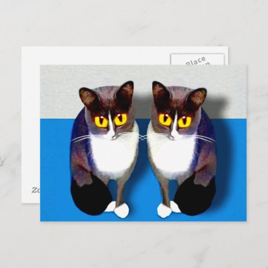 CATaTUDEs Briefkaart (Voorkant / Achterkant)